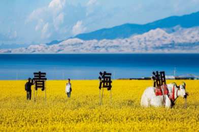 青海湖